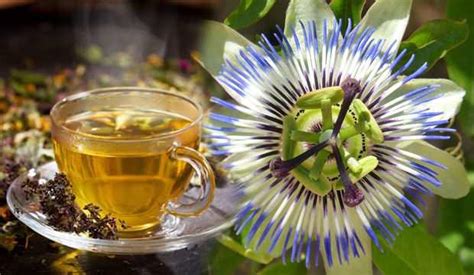 passiflora çayı ne işe yarar